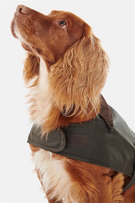 cappotti burberry per cani|Barbour Dogs .